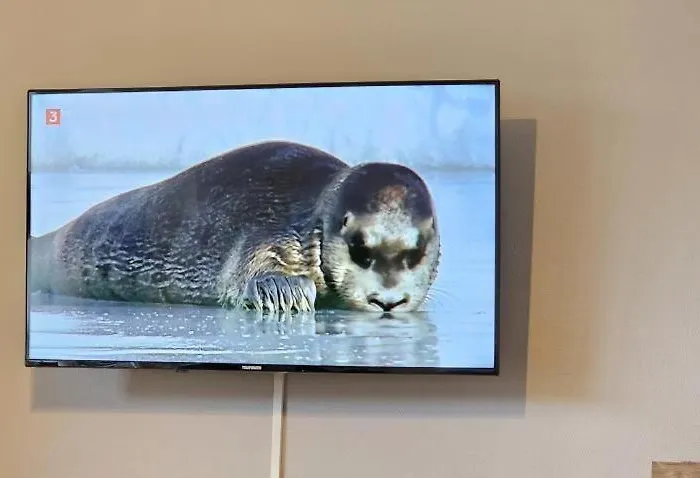 Appartementhaus-kogge-wohnung-6 * Κουξχάφεν